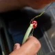 Многофункциональные ножницы Ridge Monkey Nite Glo Strip n Snip