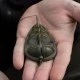 Методные кормушки Avid Carp Method Feeders