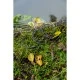 Готовые оснастки вертолет с безопасной клипсой для вертолета на упрочненной вольфрамовой трубке FOX Tuff EDGES х 3шт